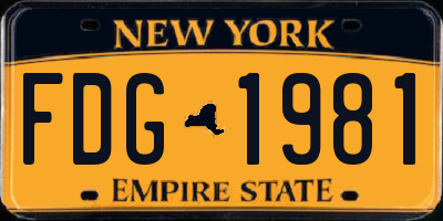 NY license plate FDG1981