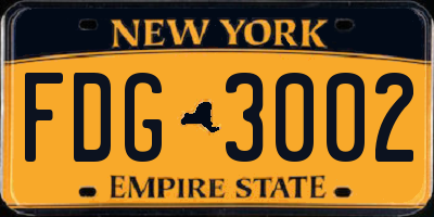 NY license plate FDG3002