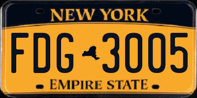 NY license plate FDG3005