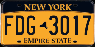 NY license plate FDG3017