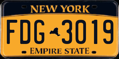 NY license plate FDG3019