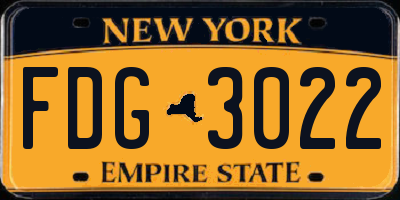 NY license plate FDG3022