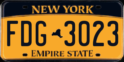 NY license plate FDG3023