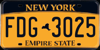 NY license plate FDG3025