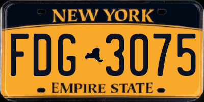 NY license plate FDG3075