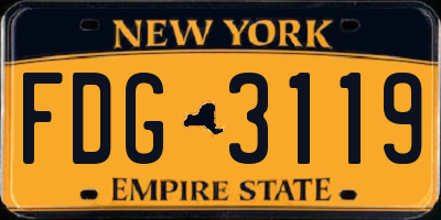 NY license plate FDG3119