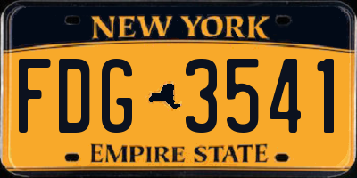 NY license plate FDG3541