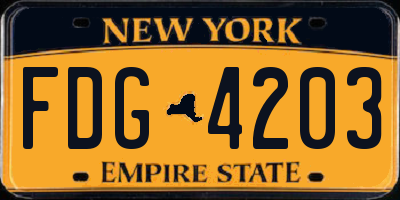 NY license plate FDG4203