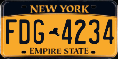 NY license plate FDG4234
