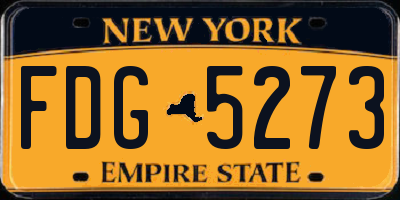 NY license plate FDG5273