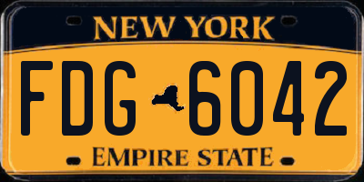 NY license plate FDG6042