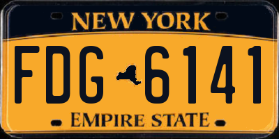 NY license plate FDG6141
