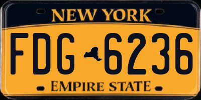 NY license plate FDG6236