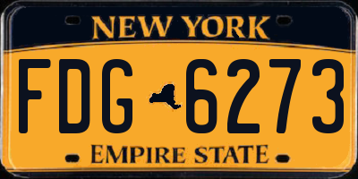 NY license plate FDG6273