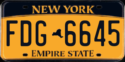 NY license plate FDG6645