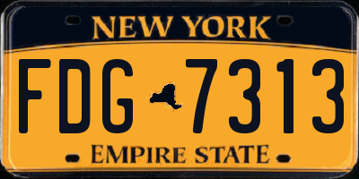 NY license plate FDG7313