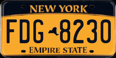 NY license plate FDG8230