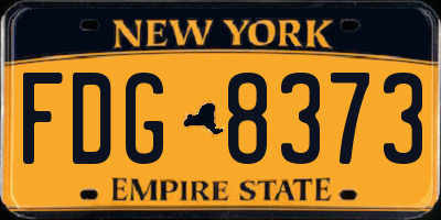NY license plate FDG8373
