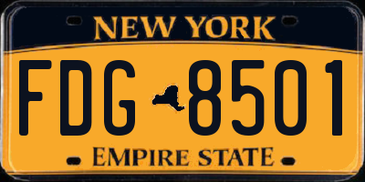 NY license plate FDG8501