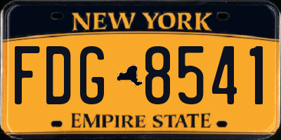 NY license plate FDG8541