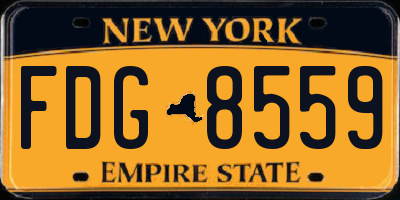 NY license plate FDG8559