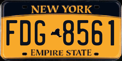 NY license plate FDG8561
