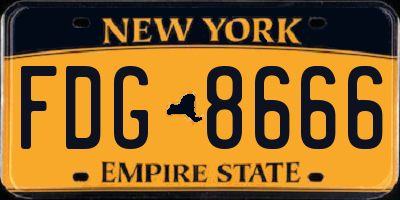 NY license plate FDG8666