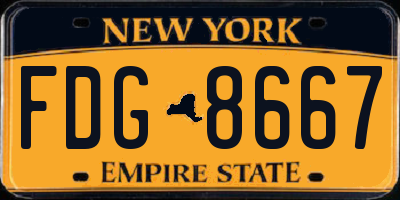 NY license plate FDG8667
