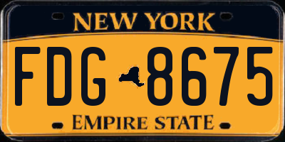 NY license plate FDG8675