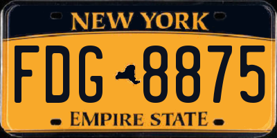 NY license plate FDG8875