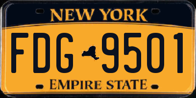 NY license plate FDG9501