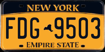NY license plate FDG9503