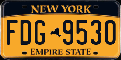 NY license plate FDG9530