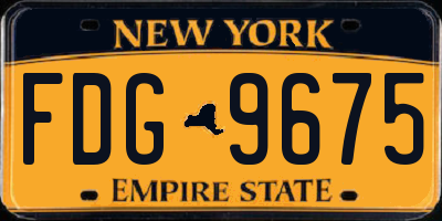 NY license plate FDG9675
