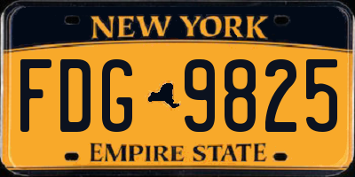 NY license plate FDG9825