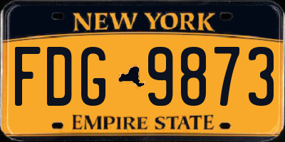 NY license plate FDG9873