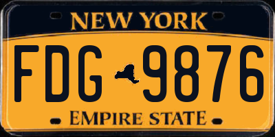NY license plate FDG9876