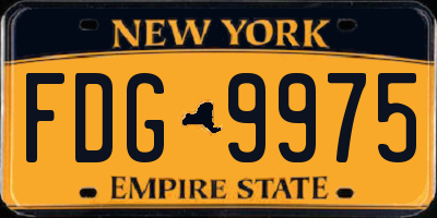 NY license plate FDG9975