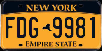 NY license plate FDG9981