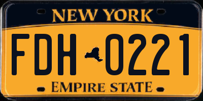 NY license plate FDH0221
