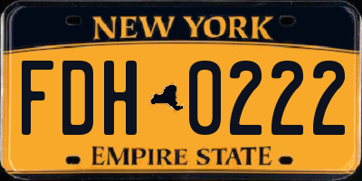 NY license plate FDH0222