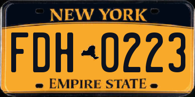 NY license plate FDH0223