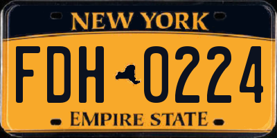 NY license plate FDH0224