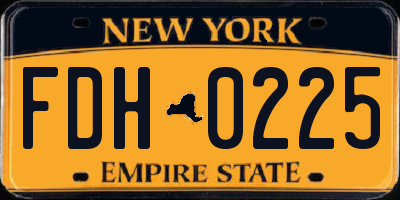 NY license plate FDH0225