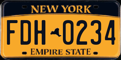 NY license plate FDH0234