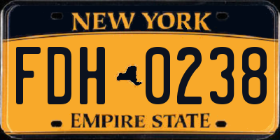 NY license plate FDH0238