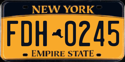 NY license plate FDH0245