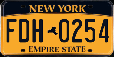 NY license plate FDH0254