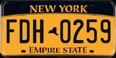 NY license plate FDH0259