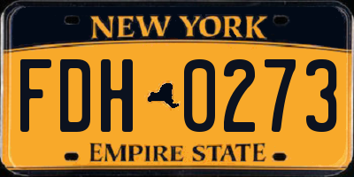 NY license plate FDH0273